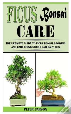 Capa do artigo Ficus Bonsai Care