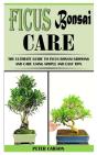 Ficus Bonsai Care - Preview