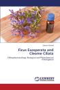 Ficus Exasperata And Cleome Ciliata - Preview