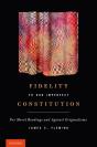 Fidelity To Our Imperfect Constitution - Preview