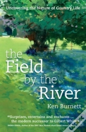 Capa do artigo Field By The River