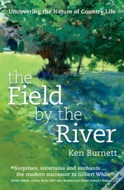 Capa do artigo Field By The River