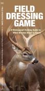 Field Dressing Game - Preview