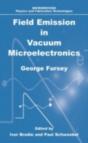 Field Emission In Vacuum Microelectronics - Preview