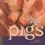 Field Gt Pigs - Preview