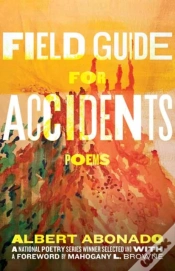 Capa do artigo Field Guide For Accidents