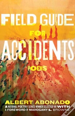 Capa do artigo Field Guide For Accidents
