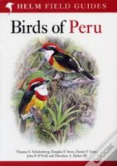 Field Guide To Birds Of Peru