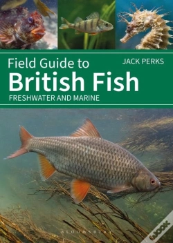 Capa do artigo Field Guide To British Fish