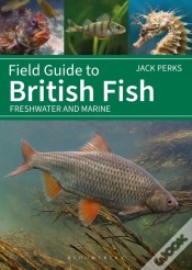 Capa do artigo Field Guide To British Fish