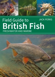 Capa do artigo Field Guide To British Fish