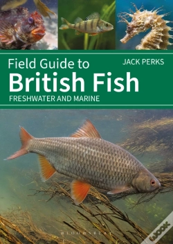 Capa do artigo Field Guide To British Fish
