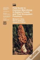 Field Guide To Common Macrofungi In Eastern Forests And Their Ecosystem Function