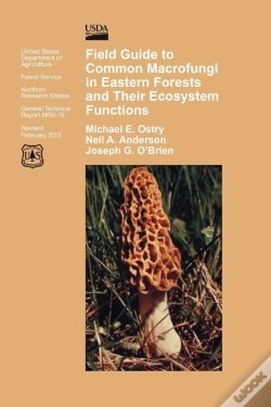 Capa do artigo Field Guide To Common Macrofungi In Eastern Forests And Their Ecosystem Function