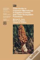 Field Guide To Common Macrofungi In Eastern Forests And Their Ecosystem Function