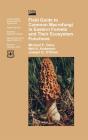 Field Guide To Common Macrofungi In Eastern Forests And Their Ecosystem Function - Preview