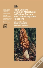 Capa do artigo Field Guide To Common Macrofungi In Eastern Forests And Their Ecosystem Function