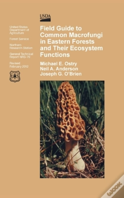 Capa do artigo Field Guide To Common Macrofungi In Eastern Forests And Their Ecosystem Function