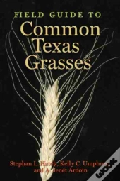 Field Guide To Common Texas Grasses
