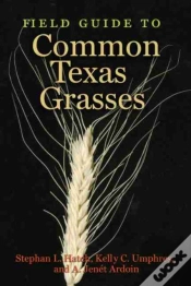 Capa do artigo Field Guide To Common Texas Grasses