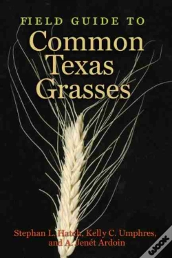 Capa do artigo Field Guide To Common Texas Grasses