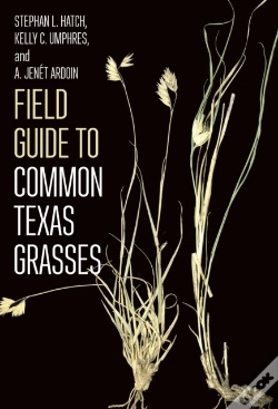 Capa do artigo Field Guide To Common Texas Grasses