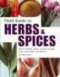 Field Guide To Herbs And Spices - Preview