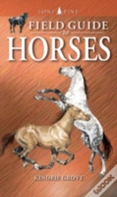 Field Guide To Horses