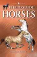 Field Guide To Horses