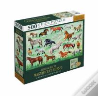 Field Guide To Magnificent Horses
