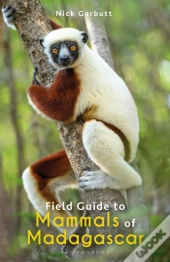 Field Guide To Mammals Of Madagascar