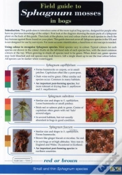 Capa do artigo Field Guide To Sphagnum Mosses In Bogs