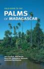 Field Guide To The Palms Of Madagascar - Preview
