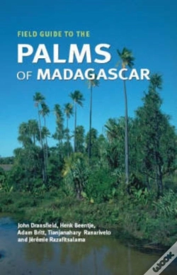 Capa do artigo Field Guide To The Palms Of Madagascar