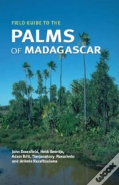 Capa do artigo Field Guide To The Palms Of Madagascar