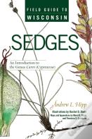Field Guide To Wisconsin Sedges