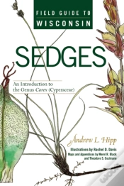 Capa do artigo Field Guide To Wisconsin Sedges