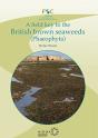 Field Key To The British Brown Seaweeds - Preview