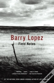 Capa do artigo Field Notes