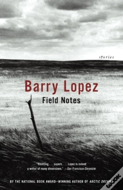 Capa do artigo Field Notes
