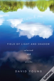Capa do artigo Field Of Light And Shadow