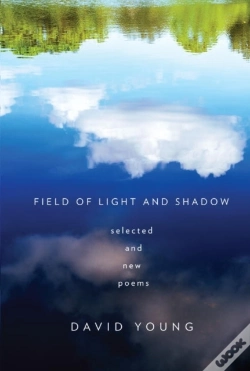 Capa do artigo Field Of Light And Shadow