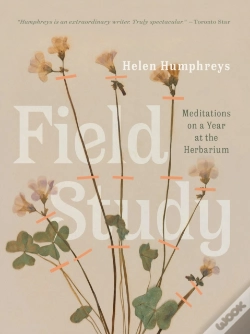 Capa do artigo Field Study