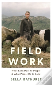 Field Work