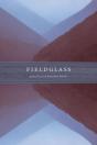 Fieldglass - Preview