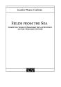 Fields From The Sea - Preview