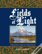 Capa do artigo Fields Of Light