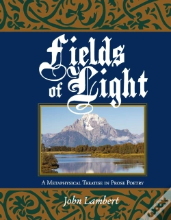 Capa do artigo Fields Of Light