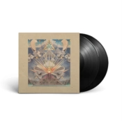 Capa do artigo Fields - Vinil
