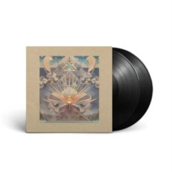 Capa do artigo Fields - Vinil